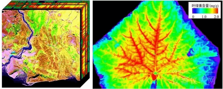图1 a高光谱数据立方体b高光谱图像检测叶绿素含量虽然高光谱成像技术