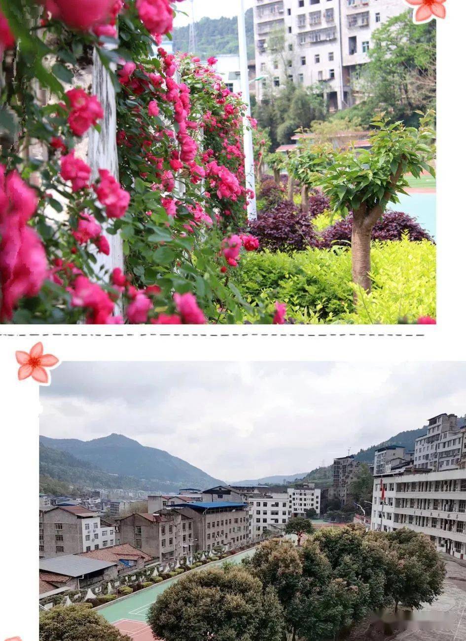 苍溪县东溪初级中学校2020年秋七年级招生啦