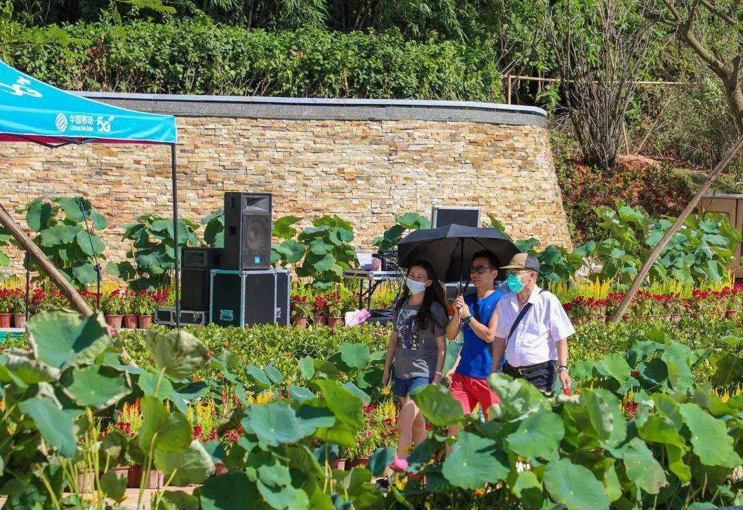 今天沙溪镇凤凰山公园盛装开园