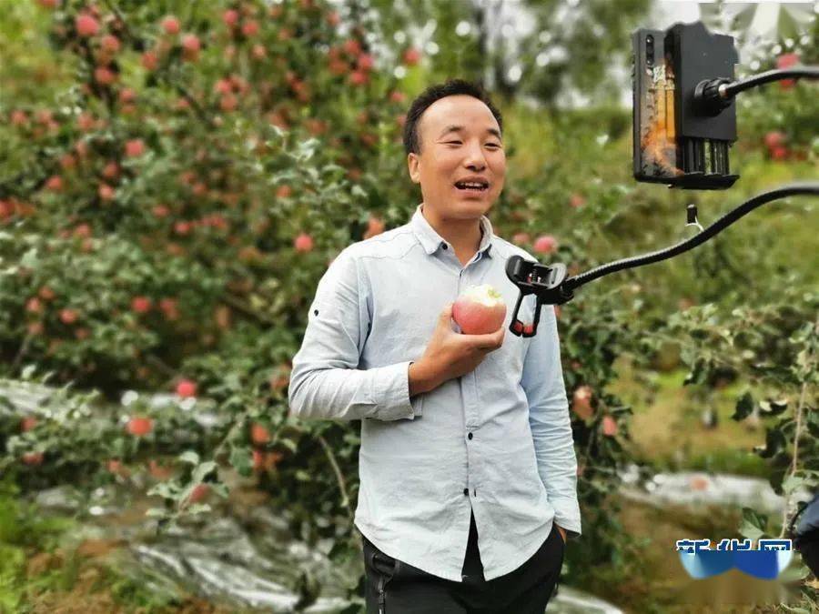 庄浪果园里这一景象,全国人民都看到了!_直播