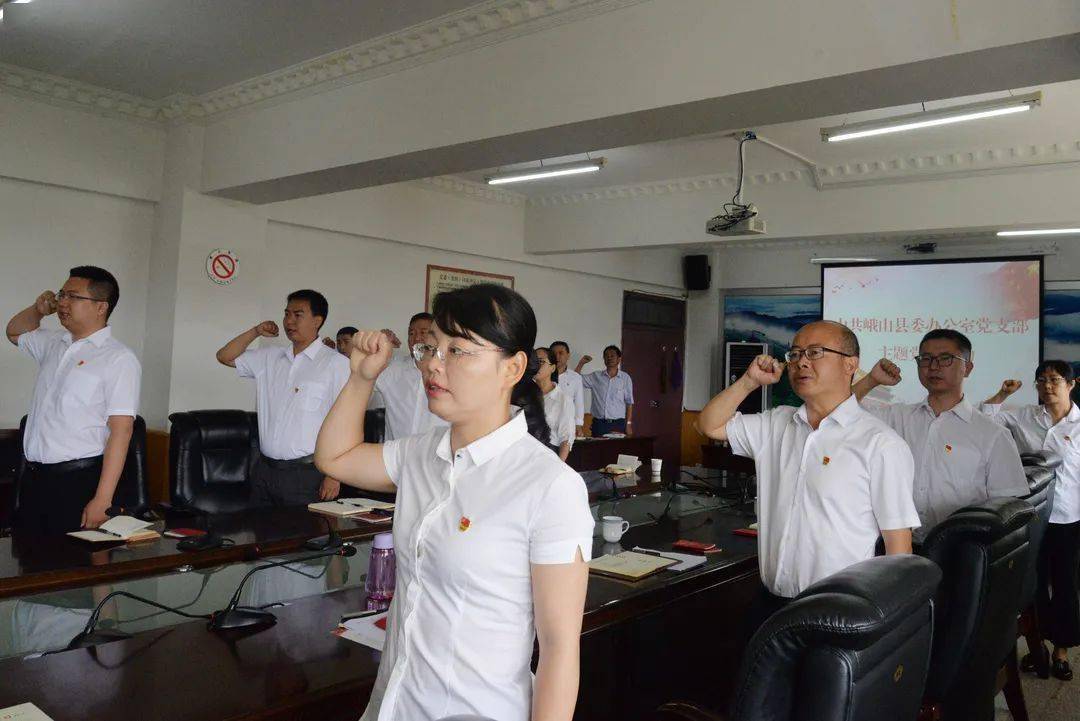 张燕华参加县委办公室党支部主题党日活动