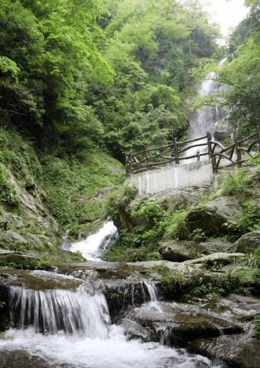 紫鵲界大熊山純玩兩日遊