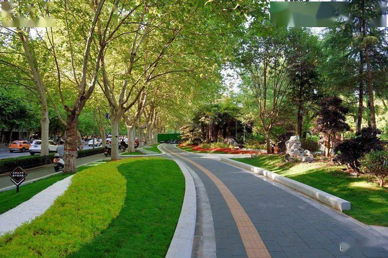 一园美景出墙来 王秀清 摄影 解放后,郑州从一座只有77棵行道树的"风