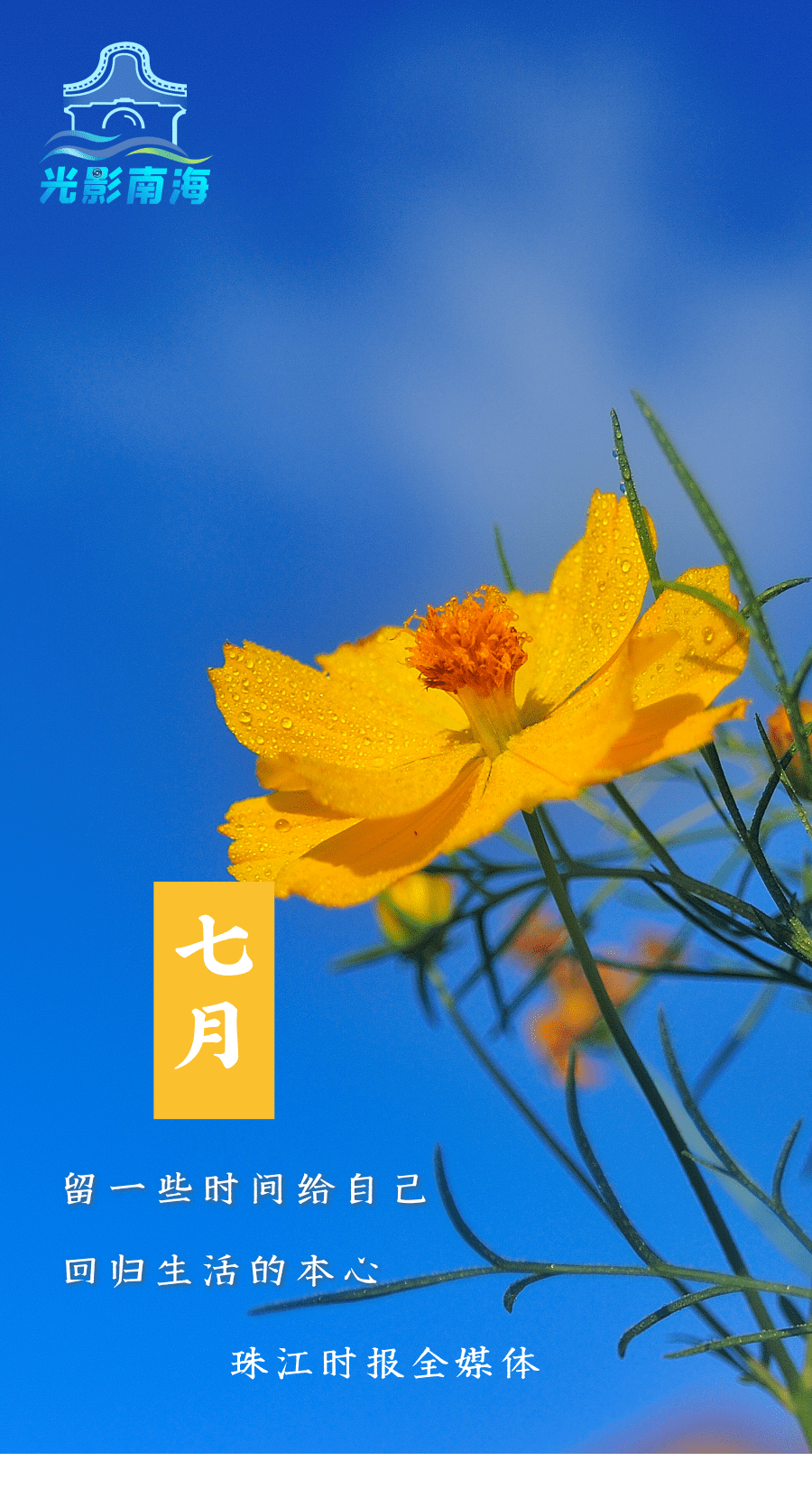 人皆苦炎热,我爱夏日长 | 七月,你好