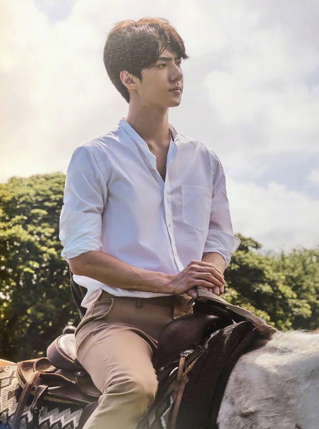 提供马拍摄道具店家提及世勋,难道mv中会出现白马王子?