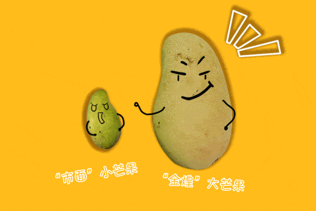 环江爱吃芒果的看过来芒果299元10斤包邮三天狂销6000件再芒都要吃