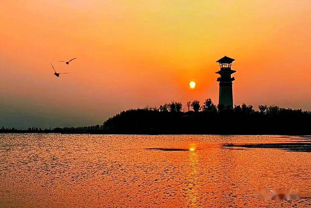 泗阳成子湖景区图片