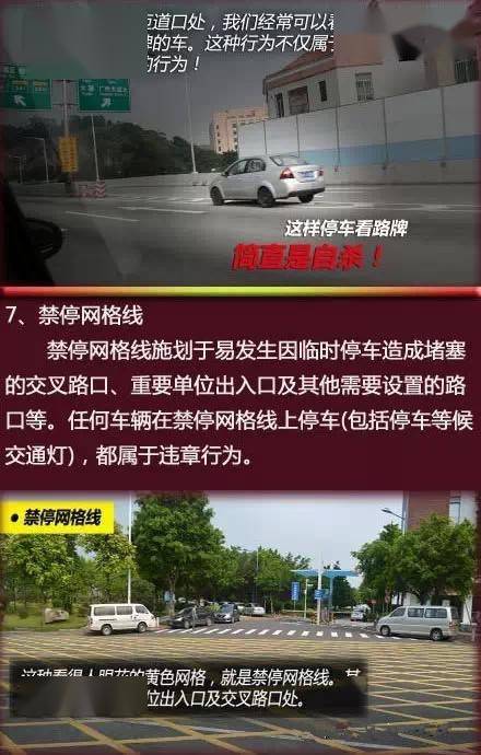 双黄线千万不能压!动图详解各种交通标线,很实用