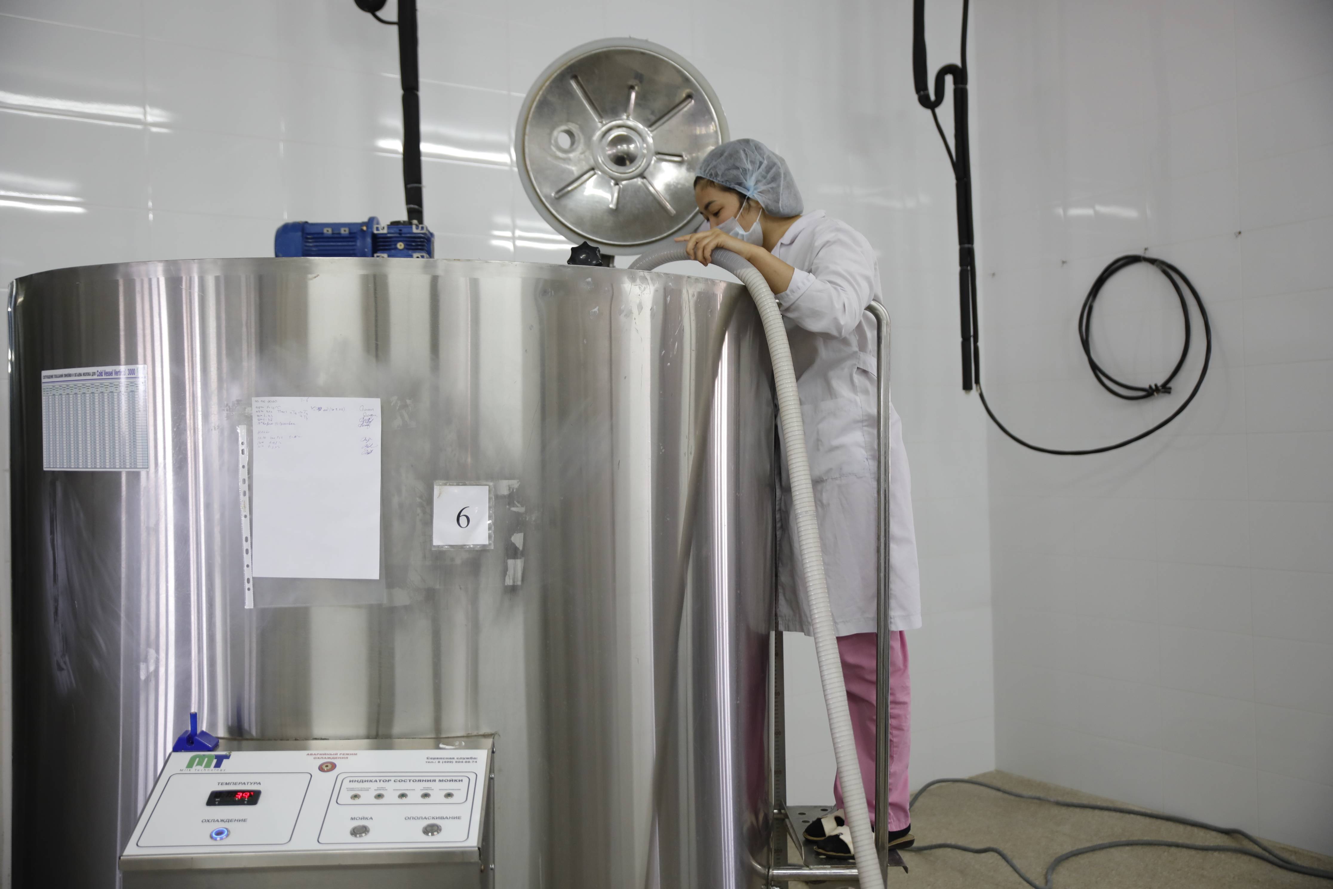 从"先遣队"到"正规军"——哈萨克斯坦骆驼奶粉入华记