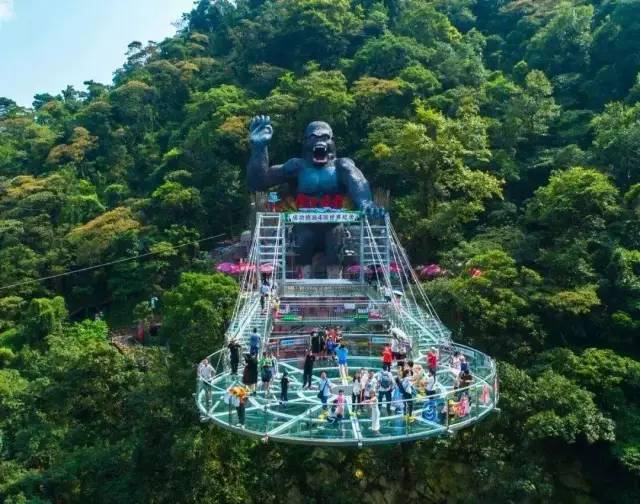 清遠7月古龍峽全程飛龍漂雲天波霸打卡網紅佛手牛魚嘴原始森林兩天遊