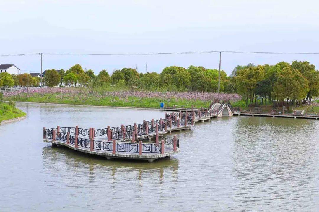 这里有供游人进行垂钓的  亲水平台