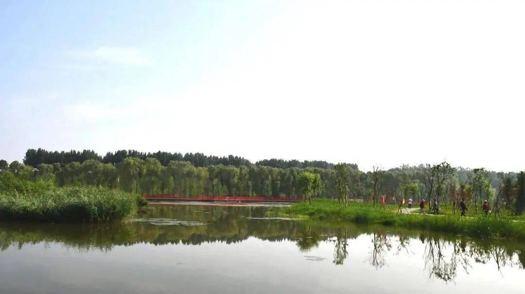 长垣新增打卡网红地——九龙湿地公园_科普