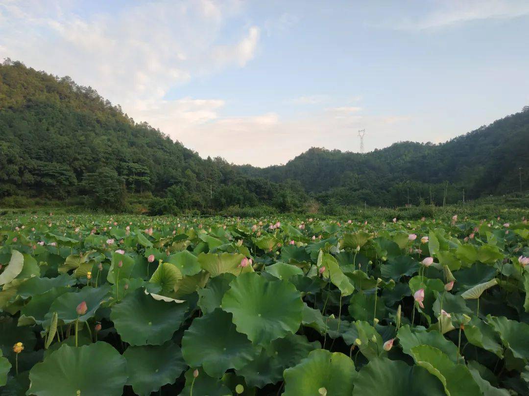 关注决胜全面小康决战脱贫攻坚王母渡篇