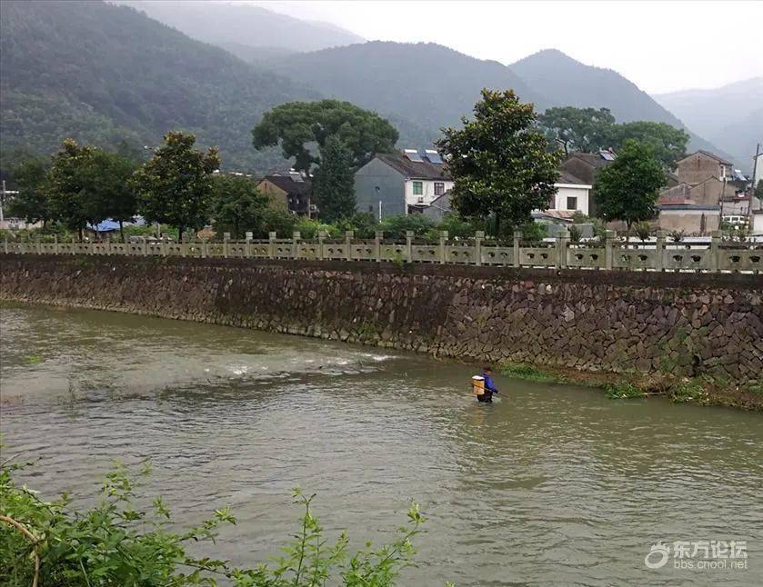 鄞州横溪水库上游溪流中,多人全副武装在电鱼