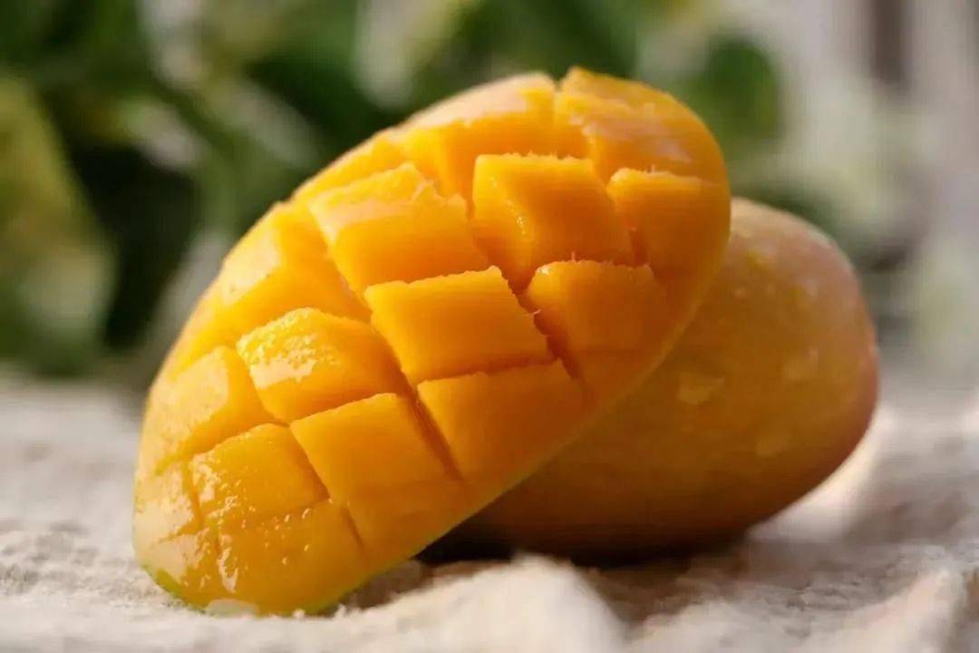 田阳芒果销售遇困,助农扶贫,请转发助力!