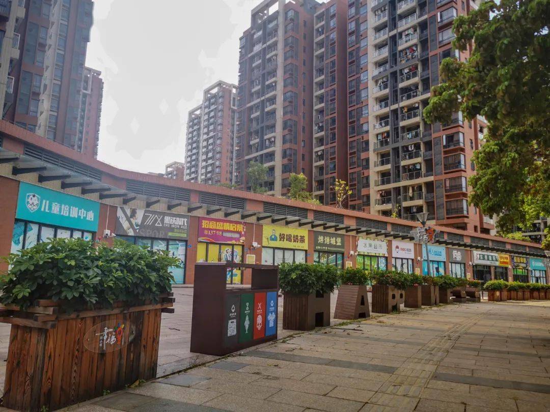 松湖幸福花园"大变身"