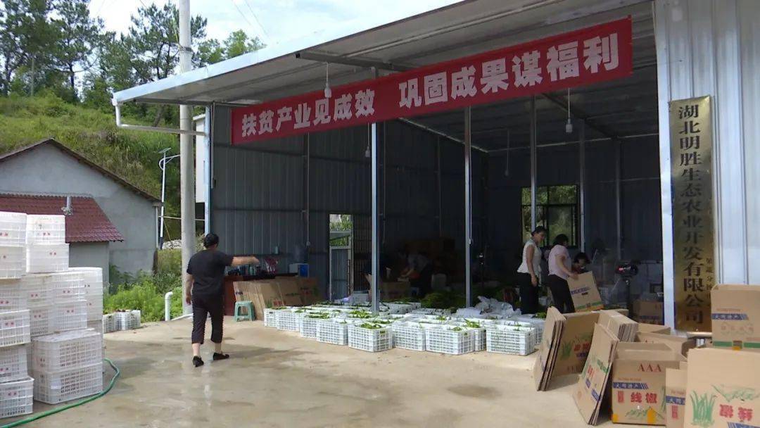 大同镇板溪村 1组村民汪成旺以前一直在外务工.