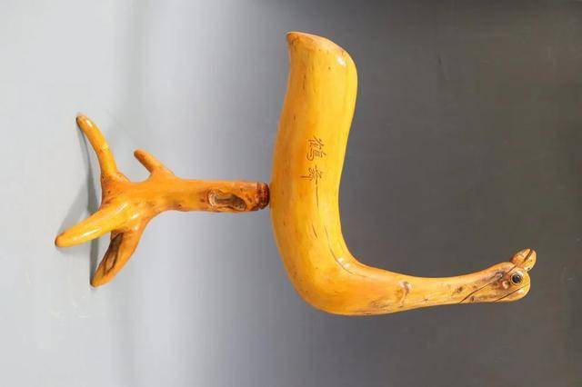 大山里的老榆树根雕