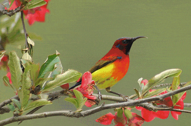 呼吸富含高负氧离子的鲜氧有高密度城市中难得一见的景致这里有森林