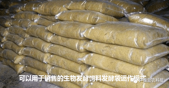 微生物益生菌发酵饲料的生产与应用效果探究