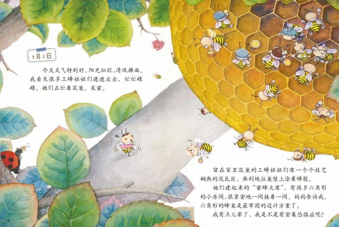 家庭亲子绘本阅读——《蜜蜂的日记》