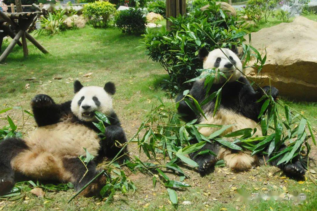 伸懒腰太爽了,看完忍不住又伸了一个!