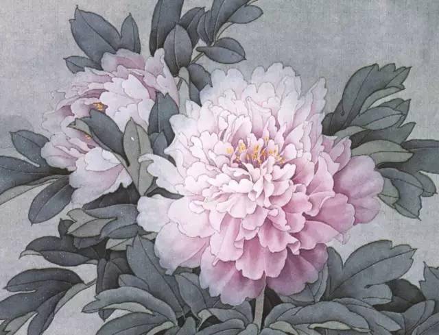 周中耀先生画牡丹美妙