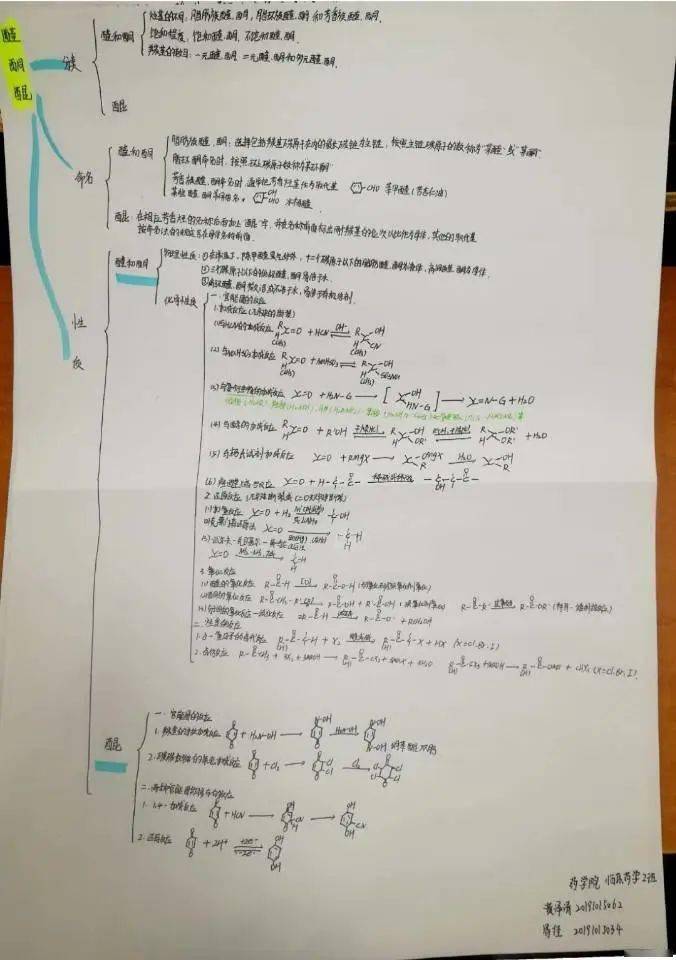 化比賽石河子大學首屆四大化學思維導圖比賽作品展示有機化學五