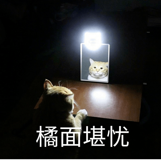 猫哭起来有多丑?长见识了