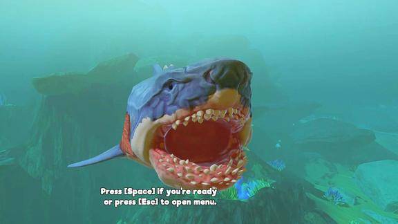 海底大猎杀:巨齿鲨狂虐大白鲨,事实证明它是不可战胜的!