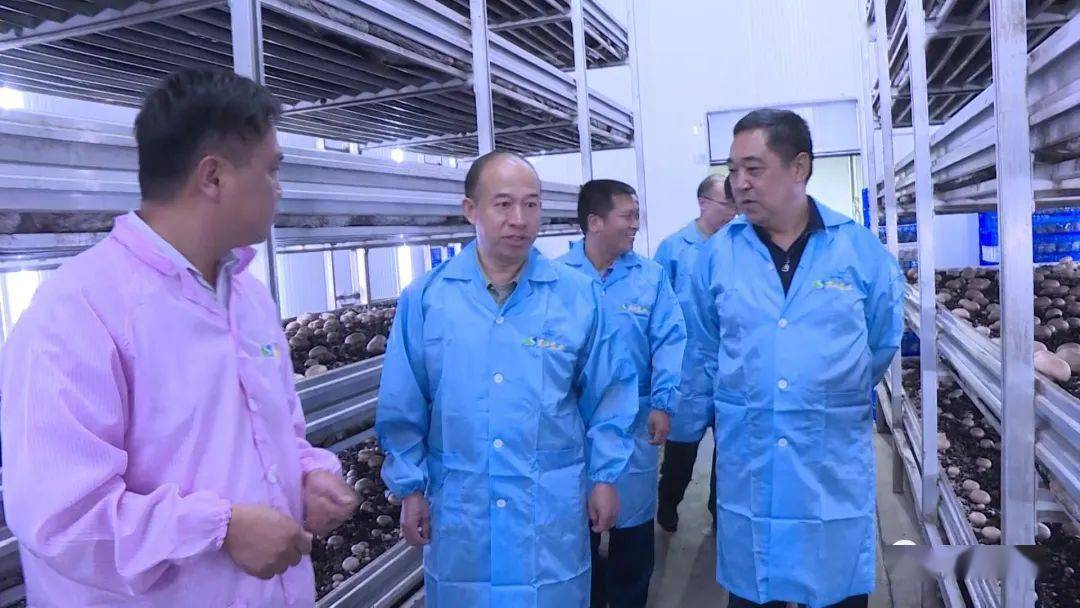 7月6日,洛阳市委常委,洛阳军分区政委李杏到我县调研脱贫攻坚,产业