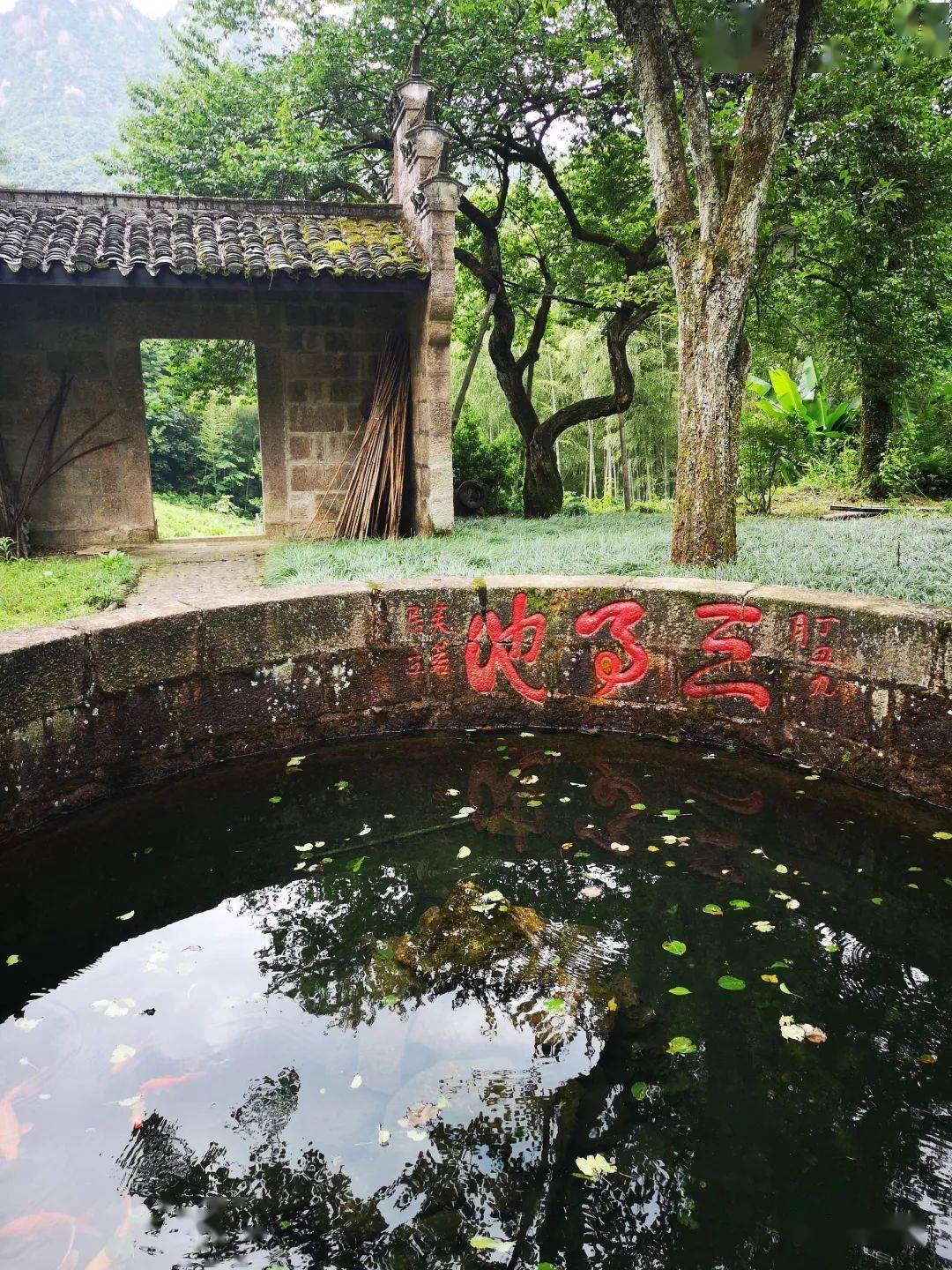 芙蓉岭上芙蓉居芙蓉居里三月池