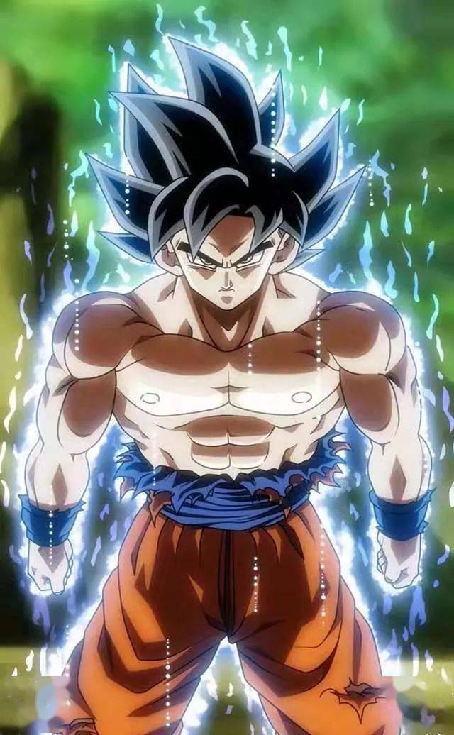 龙珠图集悟空自在极意功