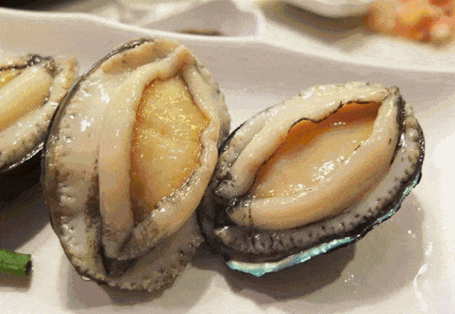 什么是北鲍南养?