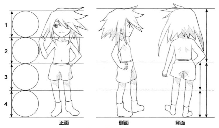 4 头身人物的体型被写实地描绘,膝盖位于腰到脚底的1/2的位置,小腿比