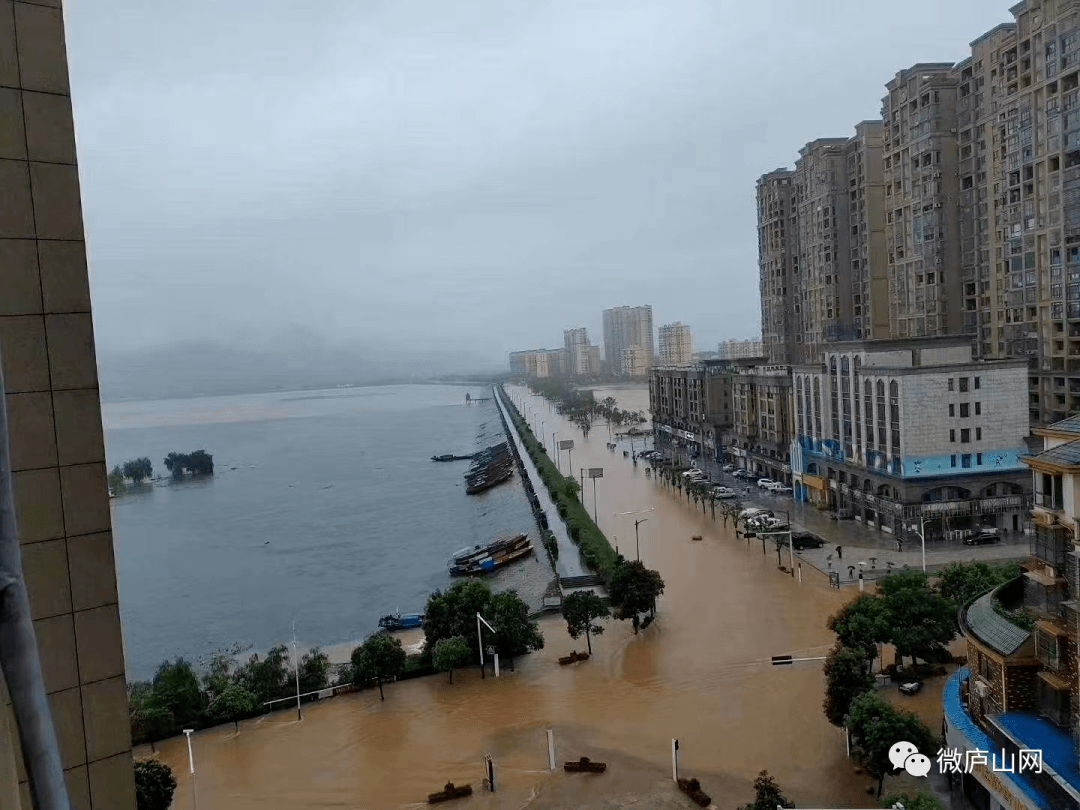 7月8日庐山市受暴雨影响情况