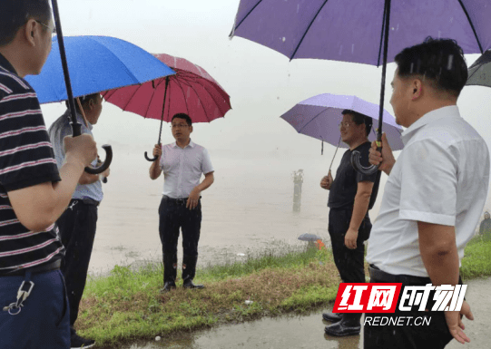 县人大代表,新安镇党委书记唐俊同志(左三)现场查看洞坪垸大堤.