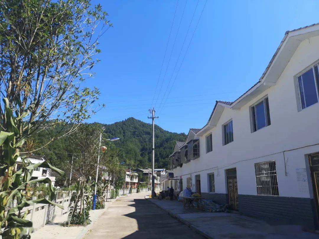 走向我们的小康生活之十四幸福家园之黄钟镇桂家河村大田坡