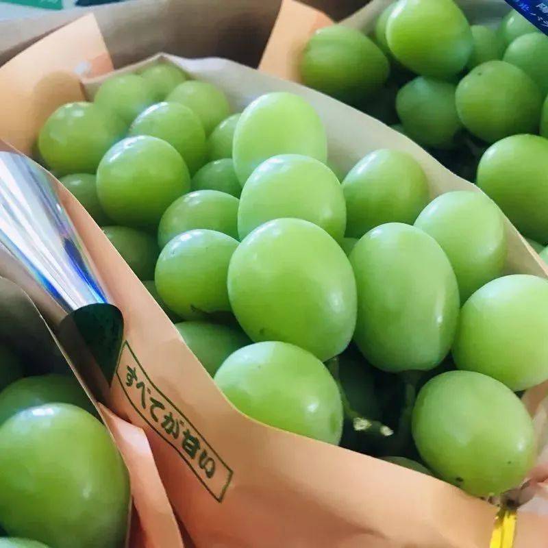 而且提子的甜度也都在18°以上哟