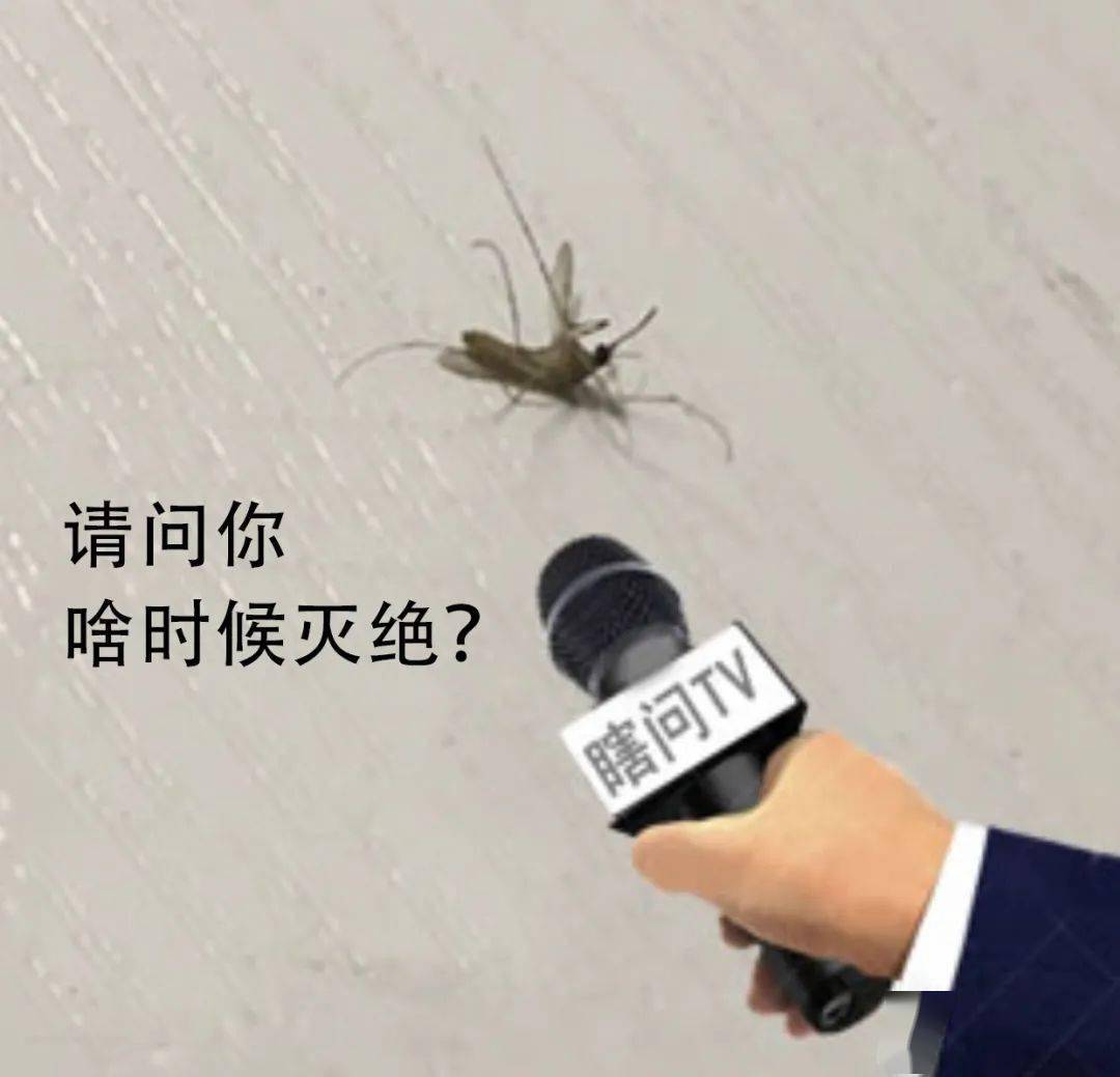 如何做一个蚊子讨厌的人?华西医生: 首先,你要做个有"味道"的人