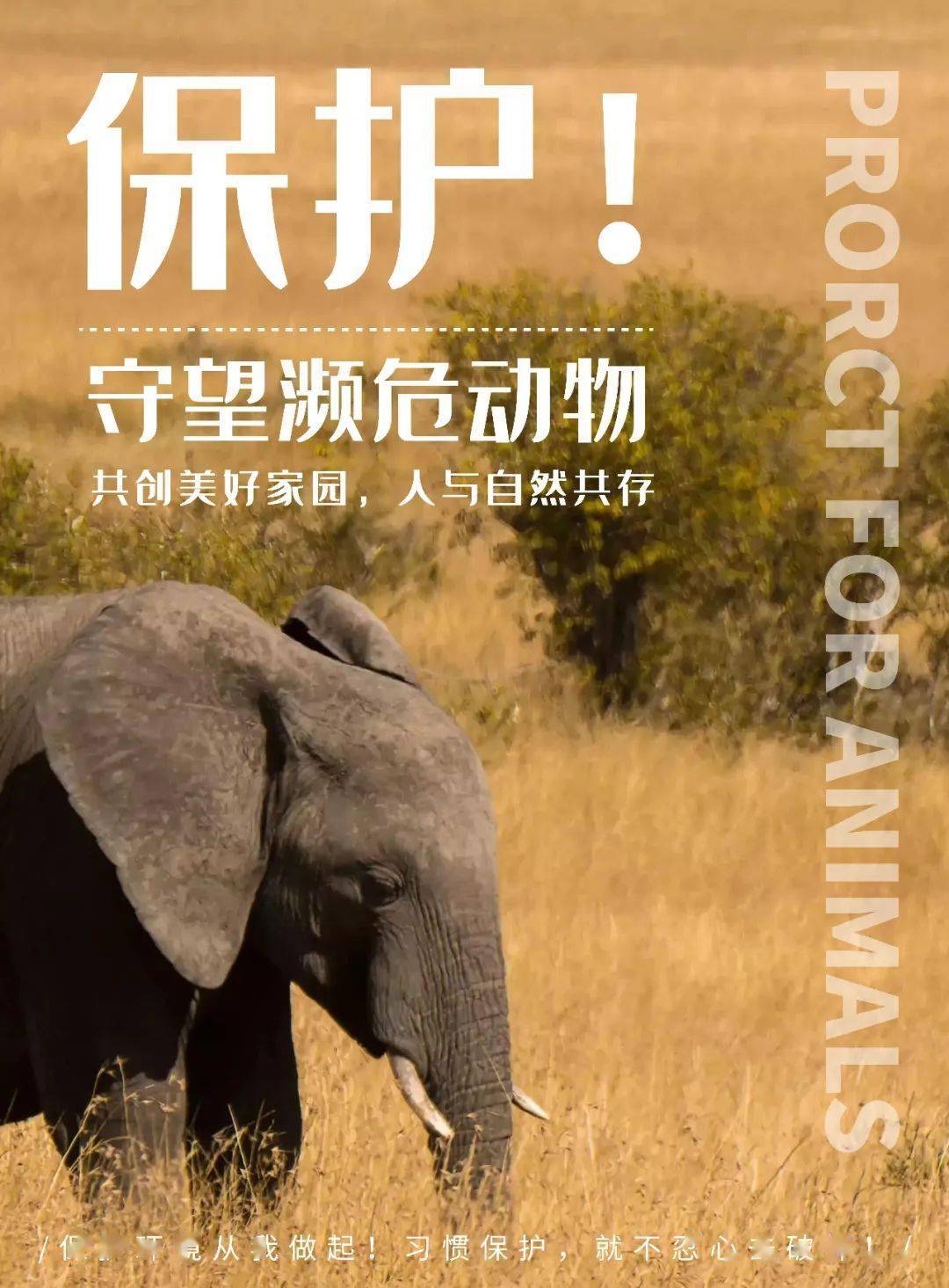 守望共生濒危动物保护展7月17日开展让动物拥有家园让孩子拥抱自然