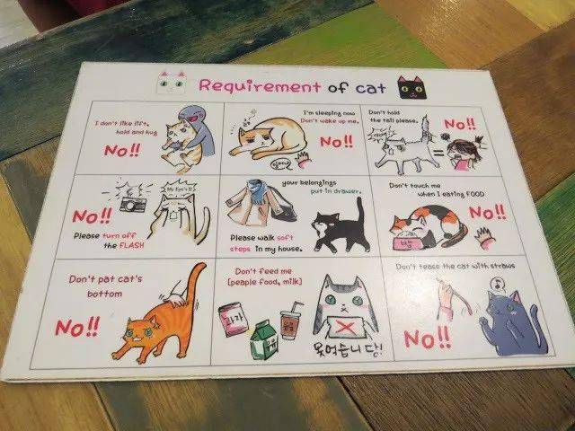 静夜思喧嚣中的治愈小店猫咖