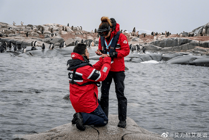 都去南极当着一堆企鹅的面求婚了
