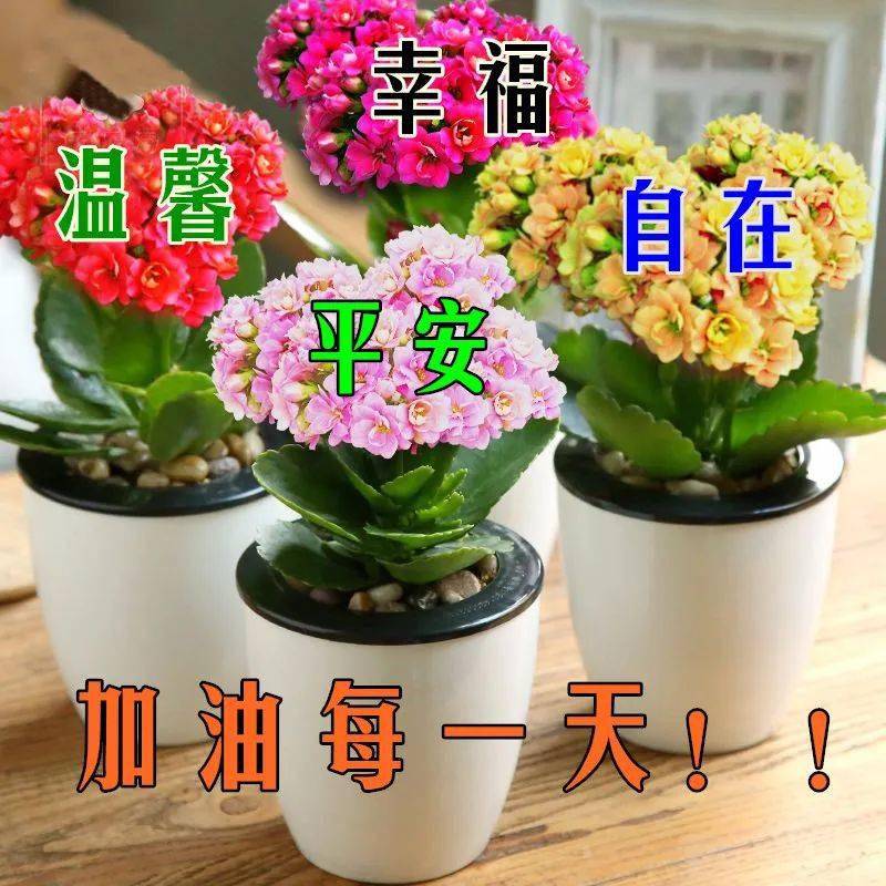 早晨漂亮祝福图早上好问候句子