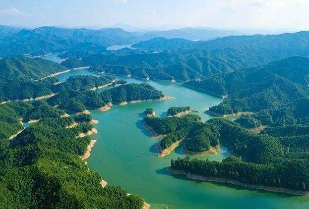 上猶陽明國際垂釣基地嘗