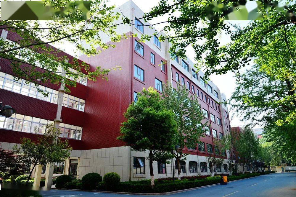 临沂商城实验学校2020暑假招聘