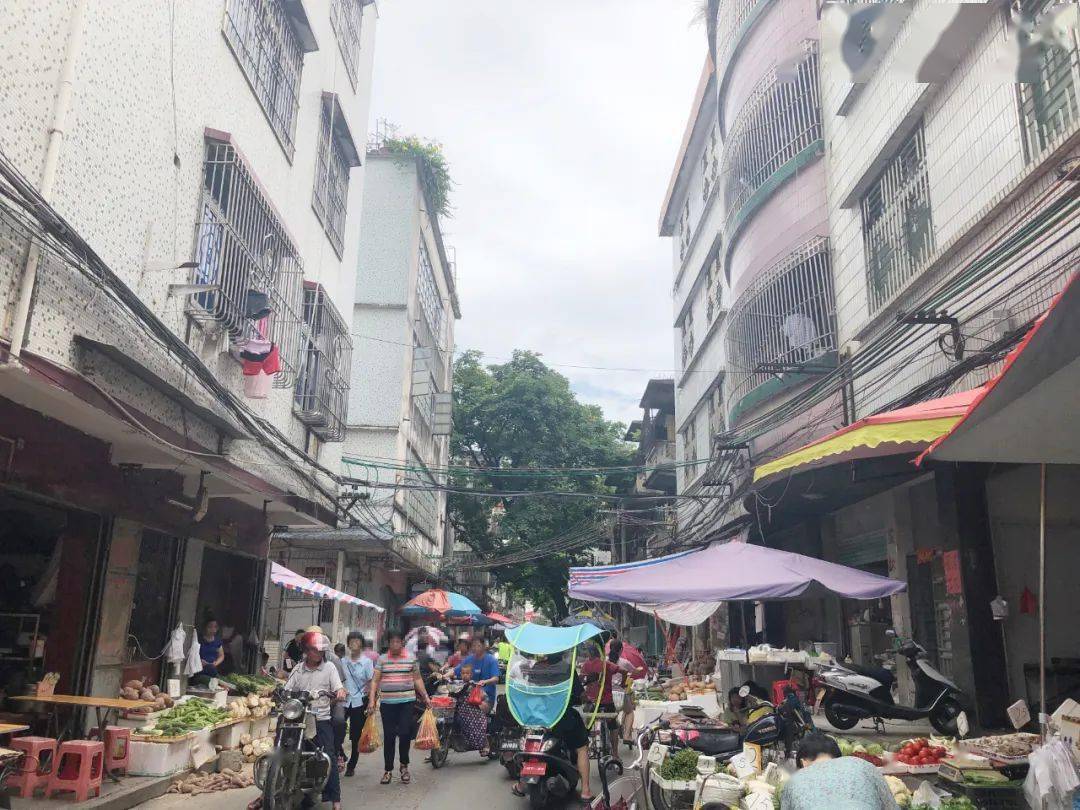 揭西河婆又增加了一个红绿灯不想违章的车主们注意哦