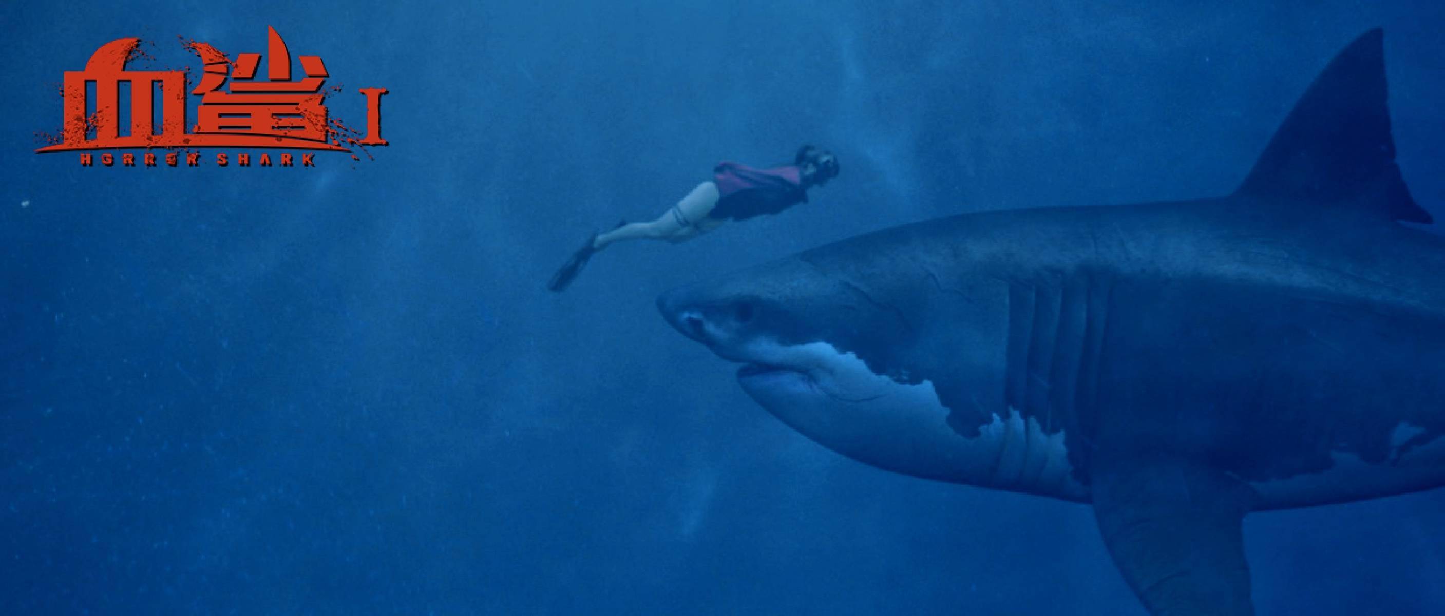 冒险灾难大片《血鲨1》7月17日优酷视频全网独播
