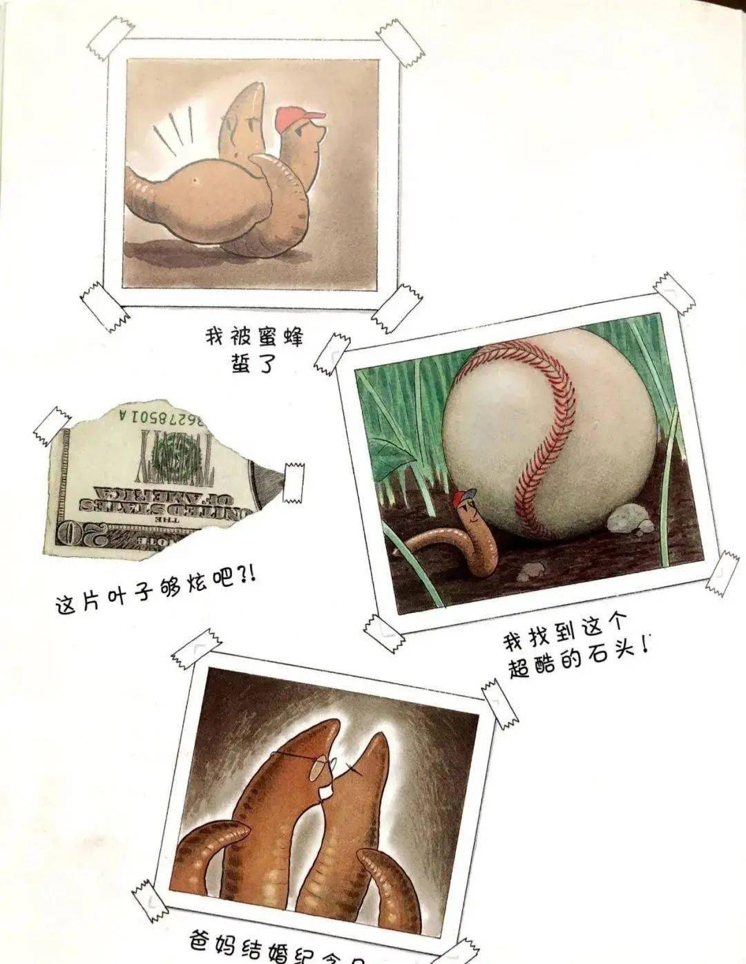 蚯蚓的日记 来自搜狐网