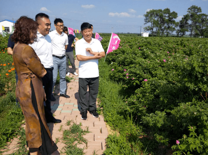 开原市委副书记付尧到金沟子镇进行实地调研工作